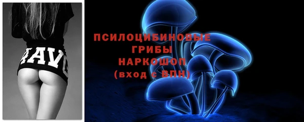 мяу мяу мука Алзамай